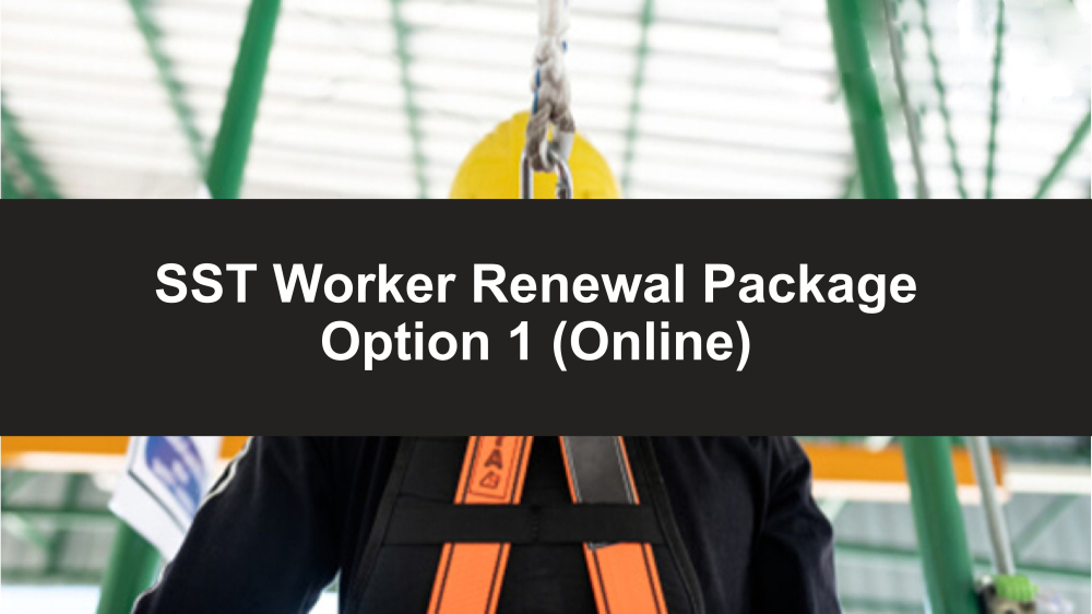 Paquete de Renovacion para Trabajadores SST Opcion 1 - Able Safety Consulting